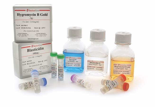 invivogen抗生素.jpg invivogen抗生素.jpg